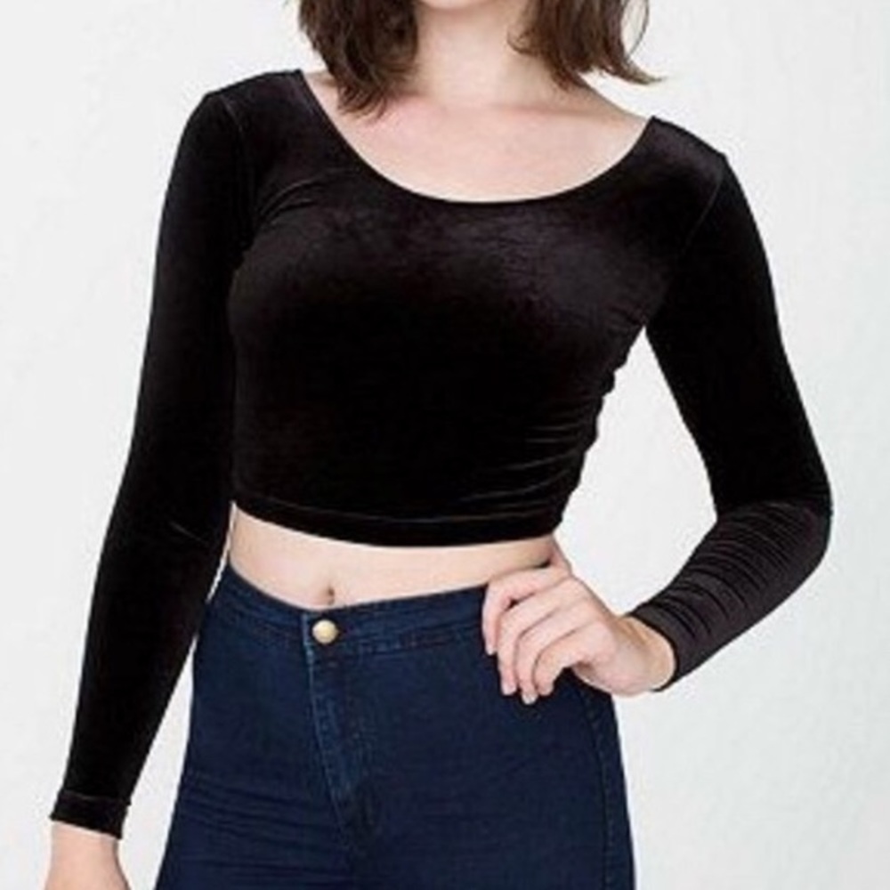 American Apparel Long Sleeve Velvet Crop Top
